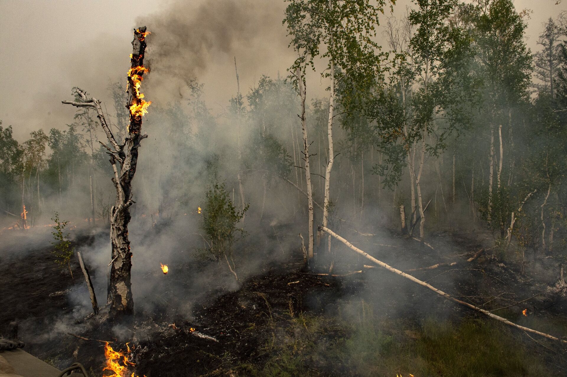 Тушение лесных пожаров в Якутии - ПРАЙМ, 1920, 27.12.2021