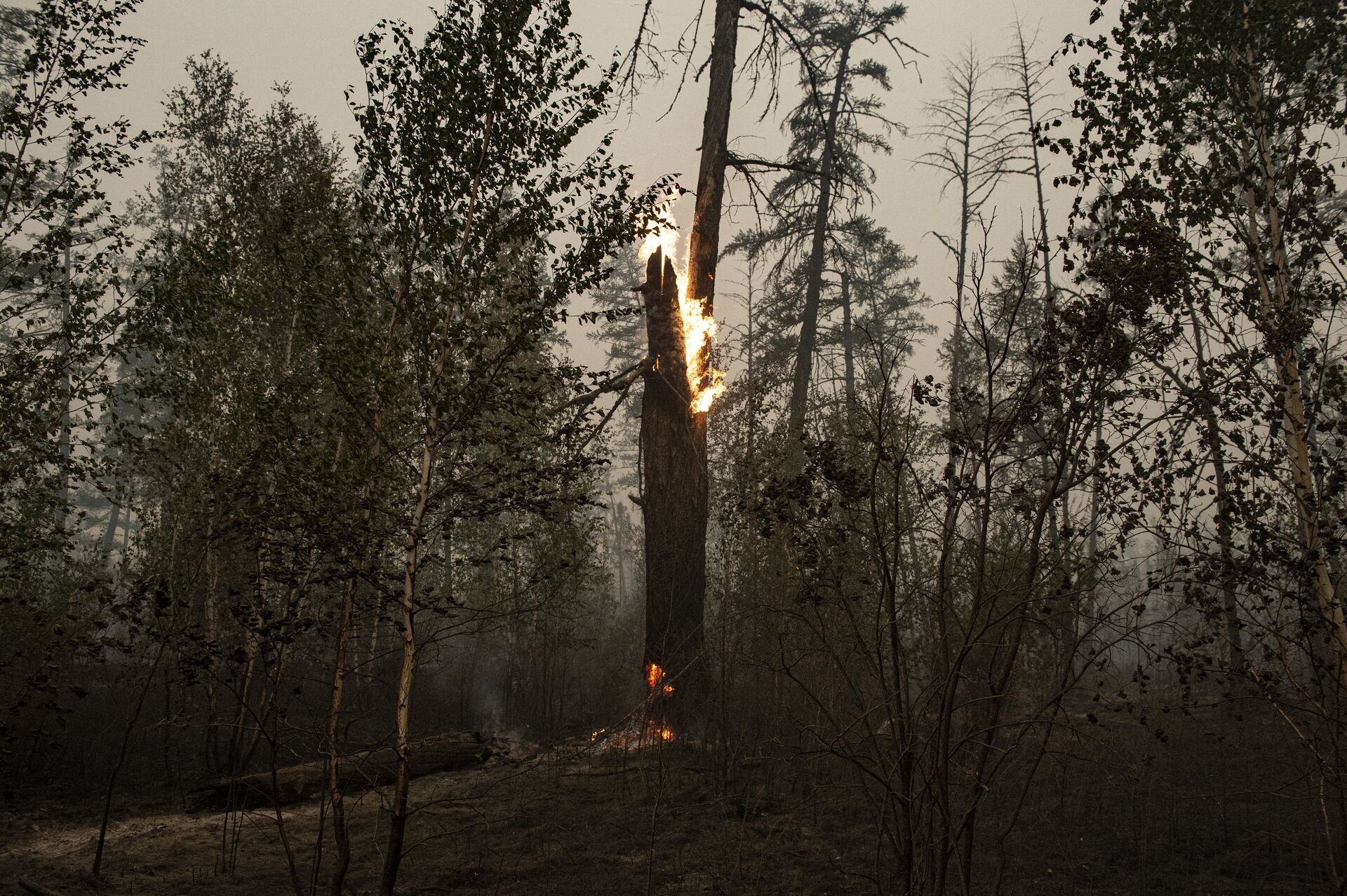 Тушение лесных пожаров в Якутии - ПРАЙМ, 1920, 03.11.2021