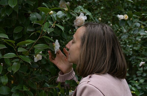 Женщина нюхает цветок белой Камелии