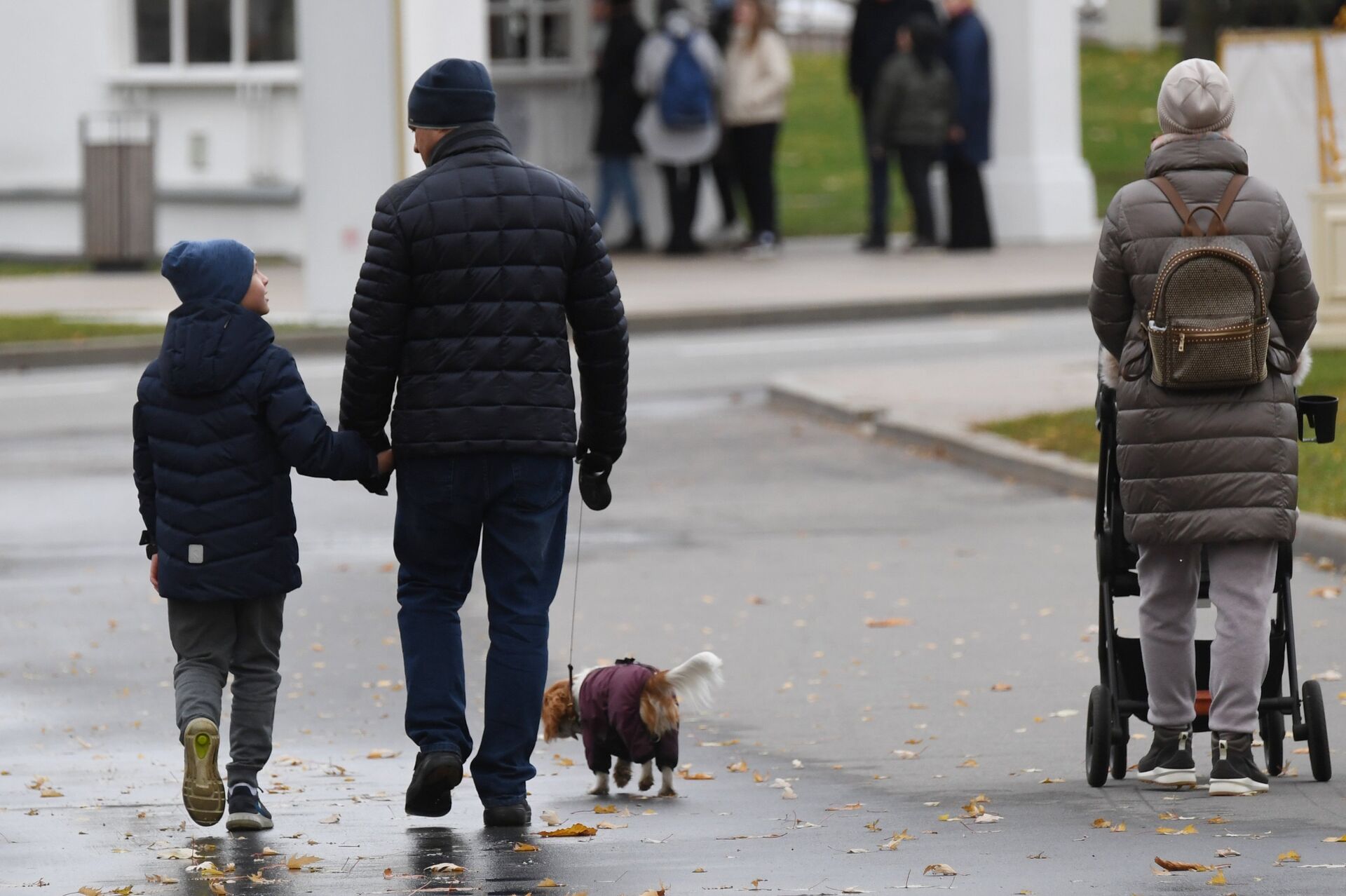 Мужчина с ребенком и собакой гуляют по ВДНХ. - ПРАЙМ, 1920, 08.03.2022