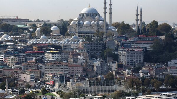Россияне стали лидерами среди посетивших Стамбул иностранцев, сообщили СМИ