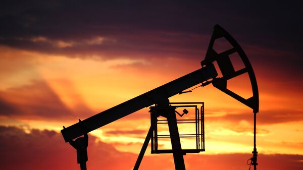В США признались, что ограничены в снижении растущих цен на нефть