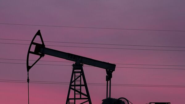 Добыча нефти в США за неделю осталась на уровне 13,2 млн баррелей в сутки
