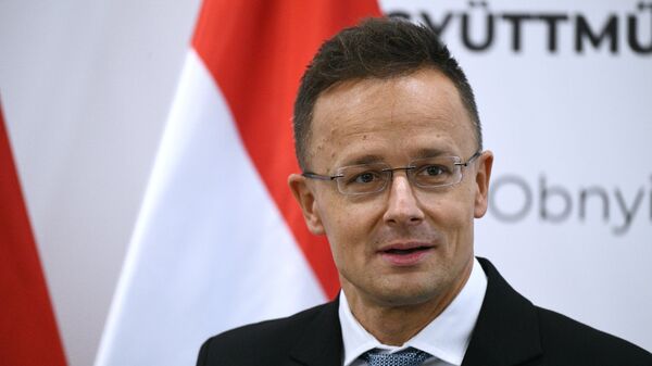 Министр внешнеэкономических связей и иностранных дел Венгрии Петер Сийярто