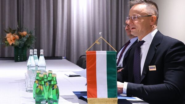 Министр внешнеэкономических связей и иностранных дел Венгрии Петер Сийярто