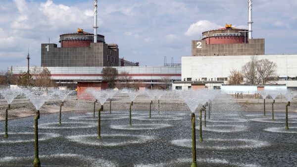 Эксперт сообщил, когда вновь заработает Запорожская АЭС