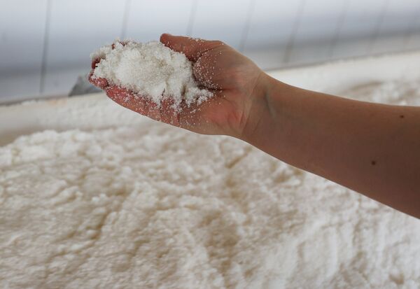 Производство сахара в Краснодарском крае
