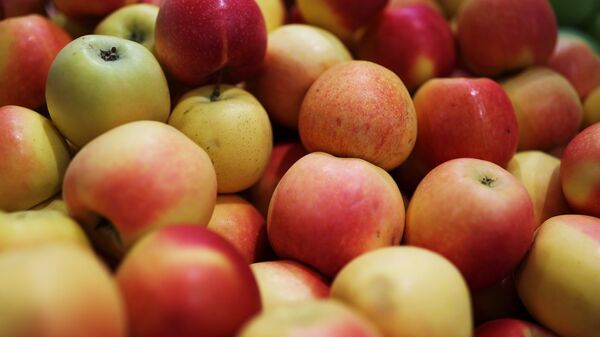 Россия почти вдвое нарастила импорт яблок