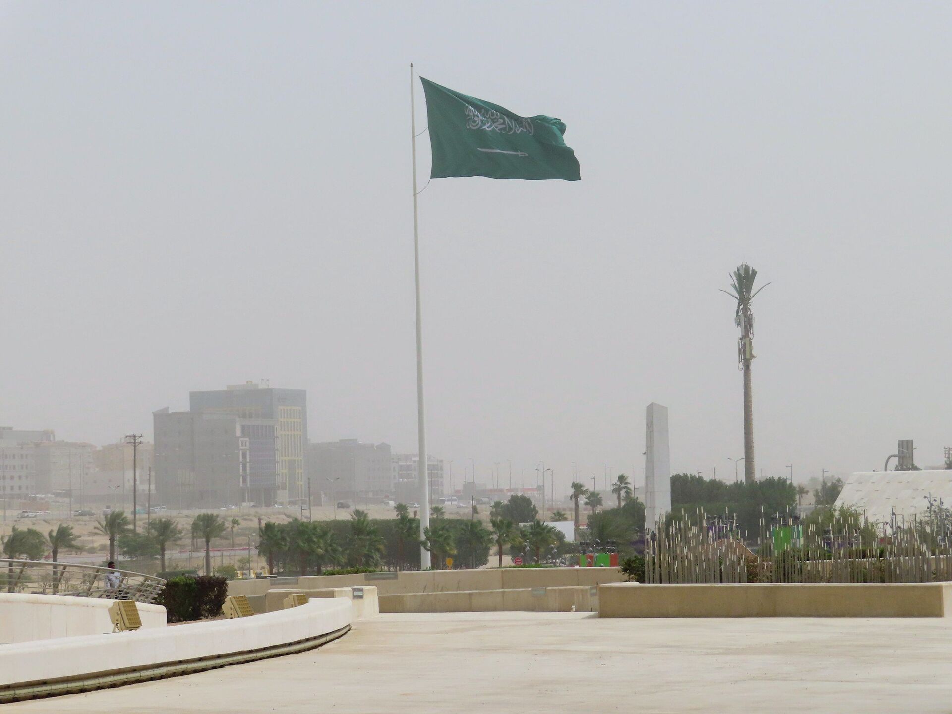 Флаг Саудовской Аравии - ПРАЙМ, 1920, 07.01.2024