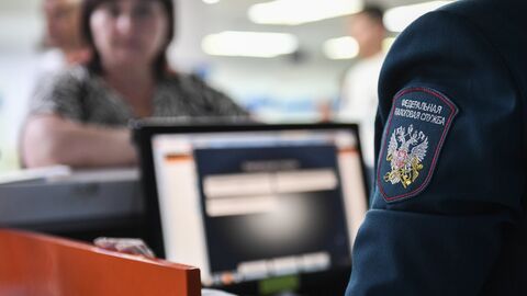 Межрайонная инспекция Федеральной налоговой службы