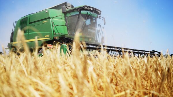 Доля России в египетском импорте пшеницы увеличилась
