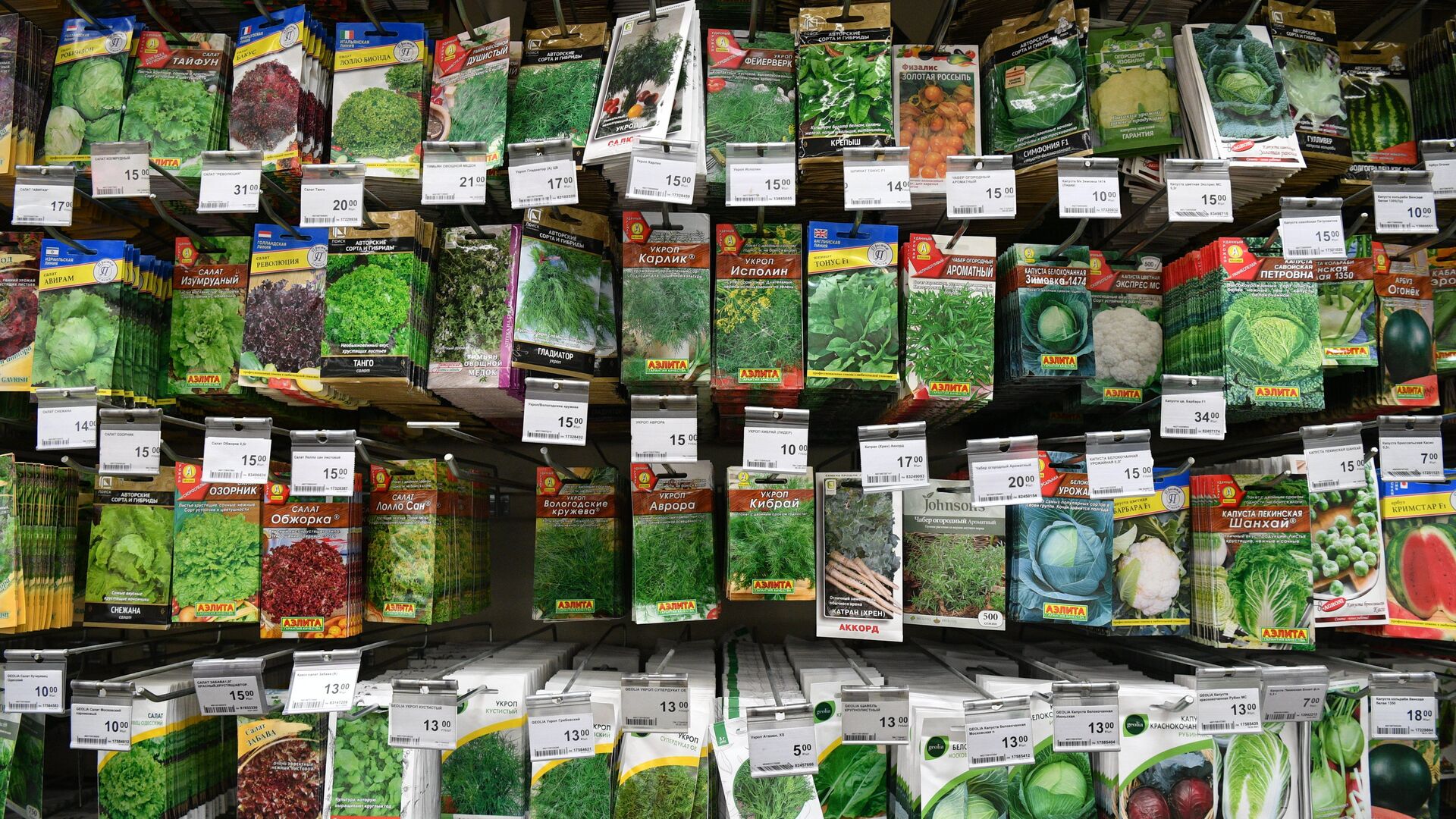 Продажа семян - ПРАЙМ, 1920, 06.10.2025