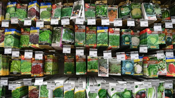 Продажа семян