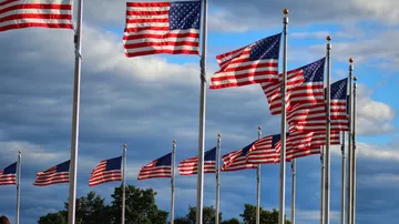 Флаги США