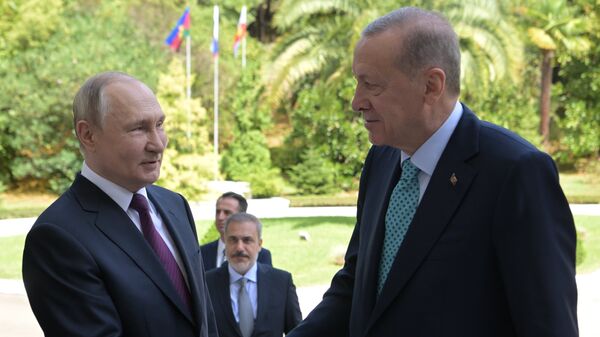 Путин и Эрдоган обсудят в Астане 