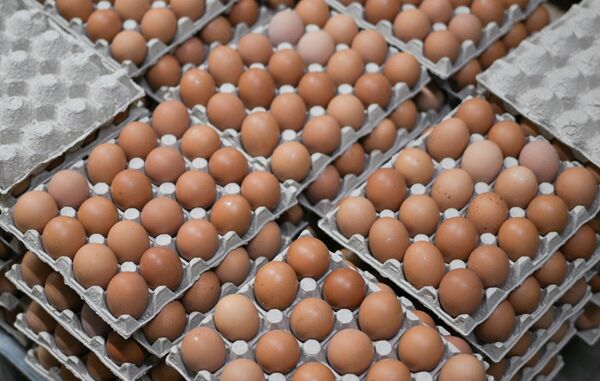 Производство куриных яиц