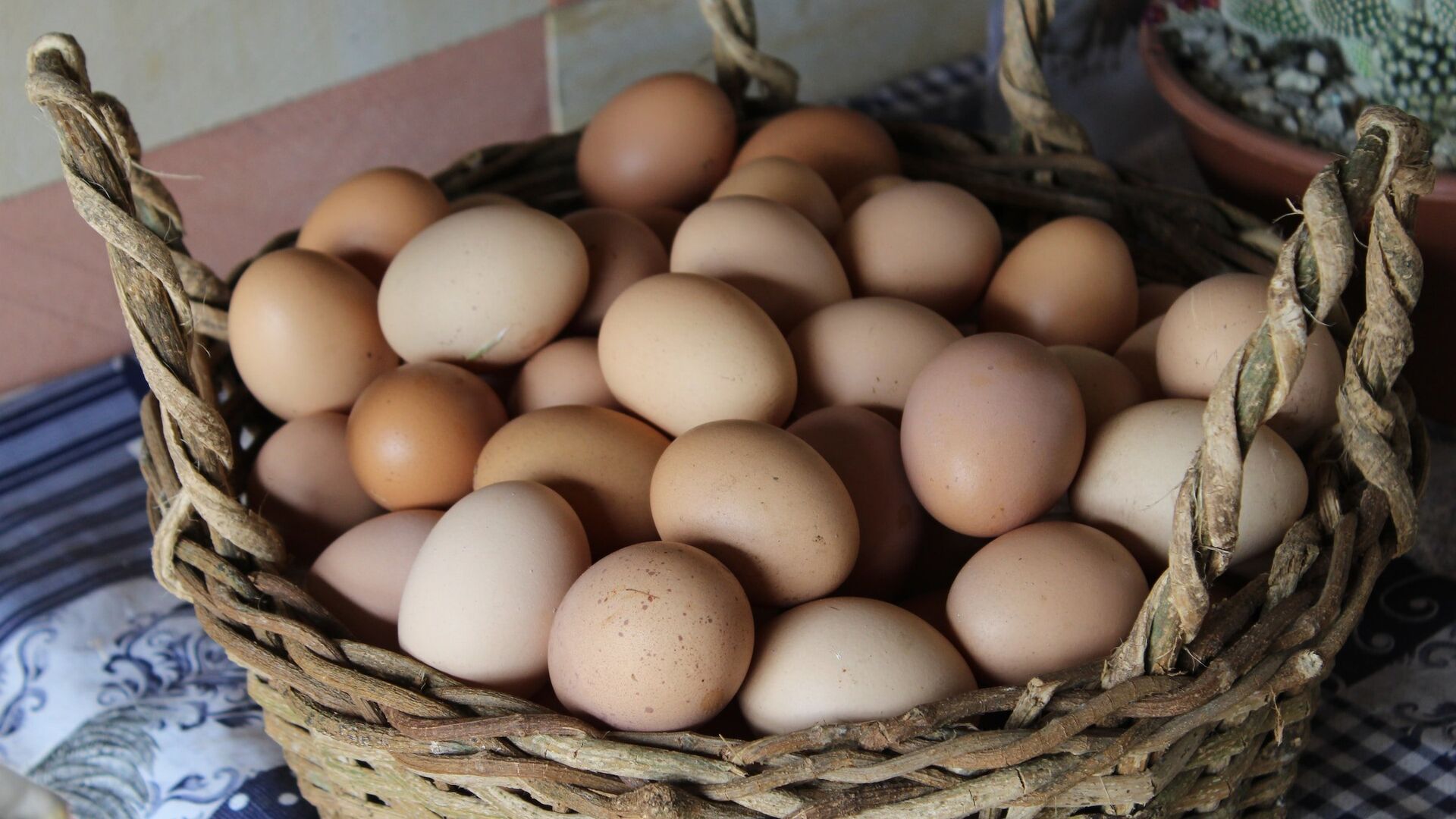 Куриные яйца - ПРАЙМ, 1920, 30.05.2024