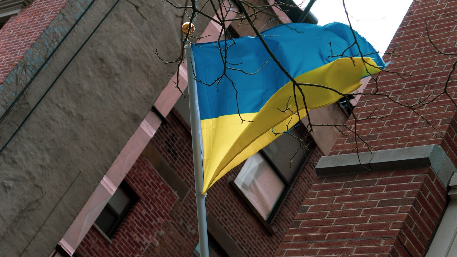 Флаг Украины - ПРАЙМ, 1920, 16.01.2024