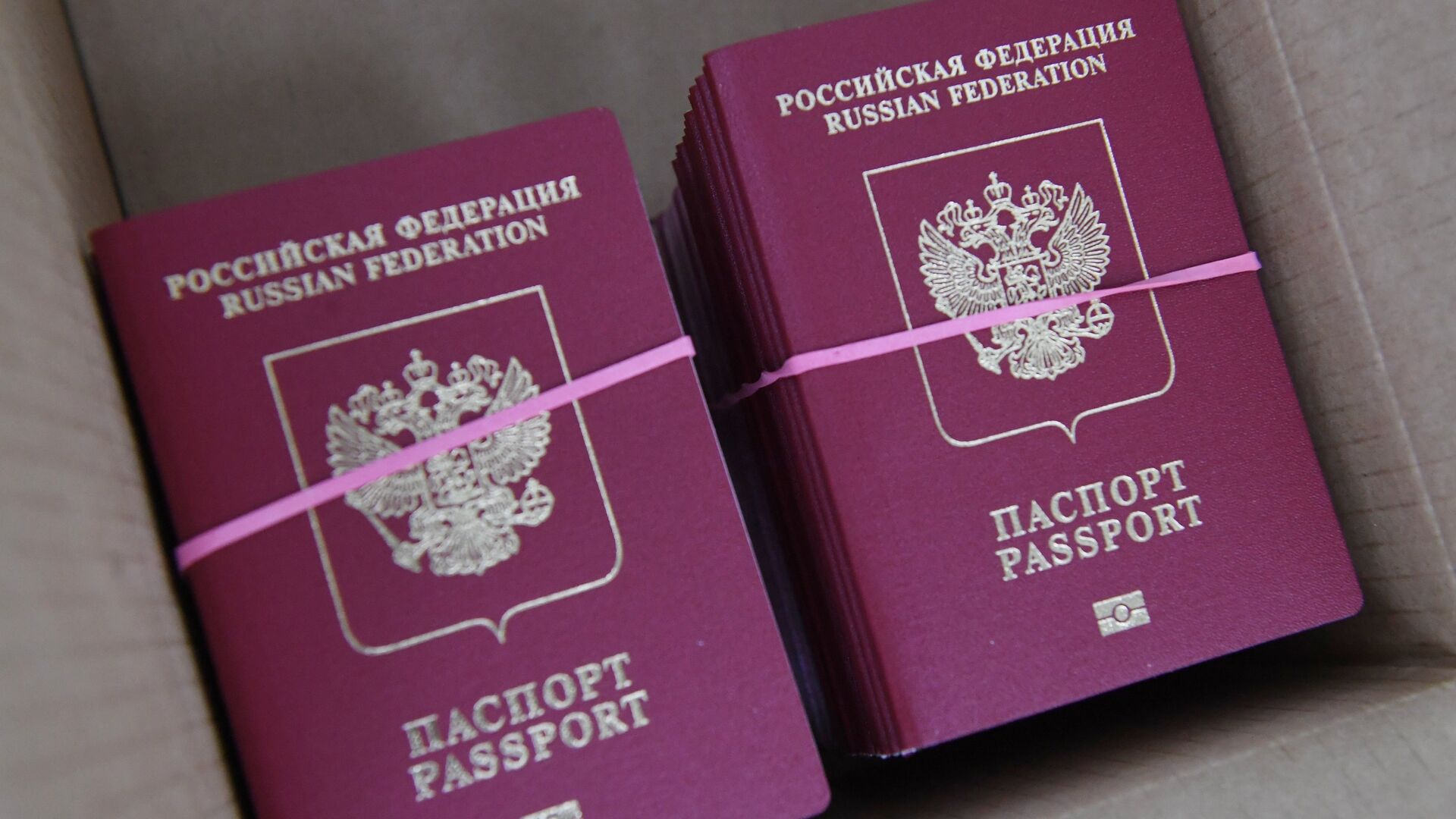 Заграничные биометрические паспорта - ПРАЙМ, 1920, 22.05.2024