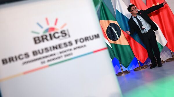 Балицкий видит перспективы партнерства Запорожской области в рамках БРИКС