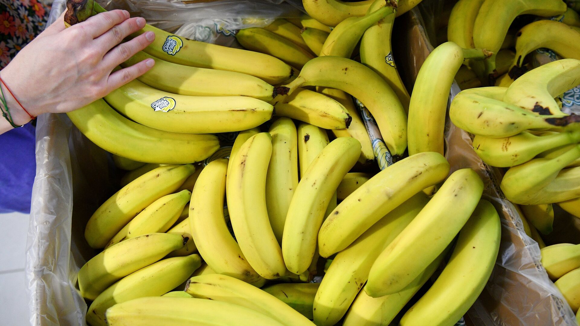 Продажа бананов - ПРАЙМ, 1920, 08.02.2024