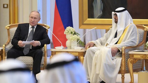 Многообещающий союз: названы главные аспекты сотрудничества России и ОАЭ