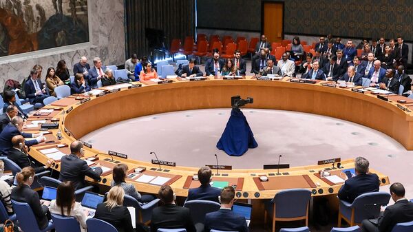 Заседание в Нью-Йорке Совета Безопасности Организации Объединенных Наций (СБ ООН)