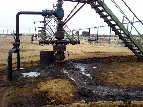 Начало добычи нефти на Требса в НАО планируется во II полугодии 2013 г