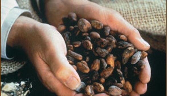 Какао-бобы подорожали до максимума с ноября 2011 года