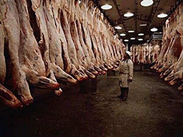 РФ вводит ограничения на ввоз сырья для мясной продукции для ряда предприятий ФРГ