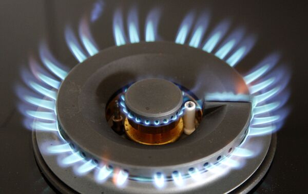 Правление ФСТ 27 ноября обсудит рост оптовых цен на газ для населения на 15% с 1 июля