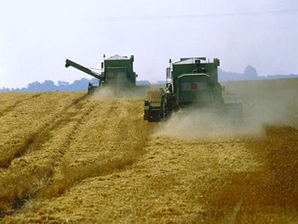 РФ с начала сезона экспортировала почти 9,8 млн тонн зерна