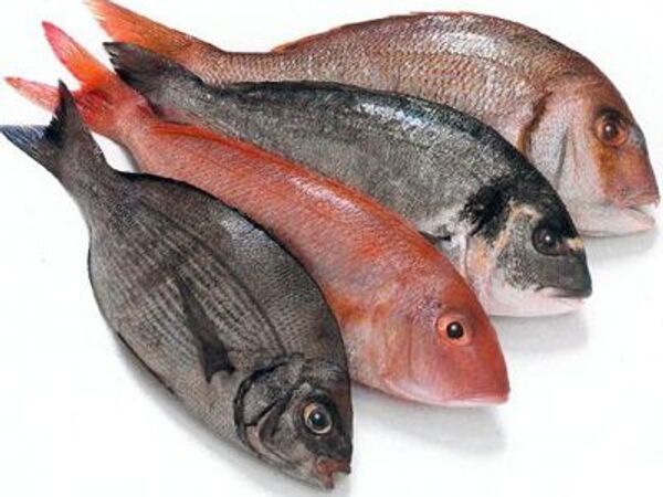 ЕЭК приняла решение снизить пошлины на импорт некоторых видов рыб