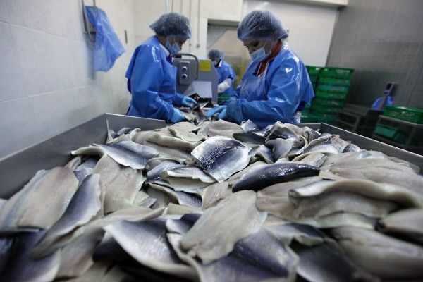 Выручка ГК Русское море за 9 месяцев снизилась на 6,9% - до 11,6 млрд руб