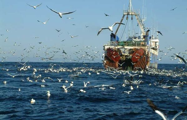 %Вылов водных биоресурсов рыбаками РФ