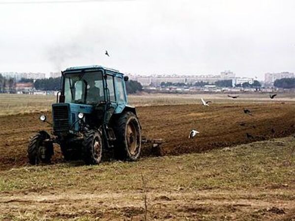 Приватизация земли в РФ должна привести к ее более эффективному использованию - чиновник