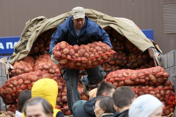 МЭР ожидает снижения сельхозпроизводства в РФ в 2012 году на 5,4% вместо прежних 4,4%