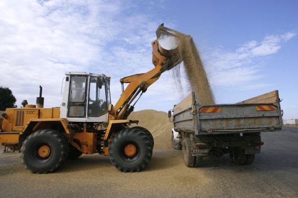 Минсельхоз видит риски роста темпов экспорта зерна в этом сельхозсезоне - замминистра