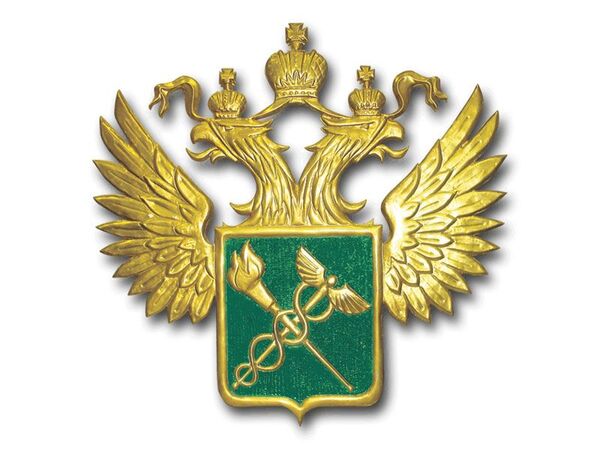 Макарова стала главой управления ФНС России по Московской области