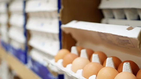 Продажа яиц в магазине